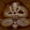 Gates_numenea_1_thumb
