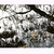 Dsc_0242_copia_tiny_square