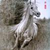 Galeria12_thumb