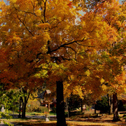 Dsc04612aazz_card