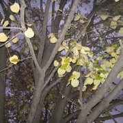 Img_1049_card