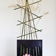 Ikebana-155_card