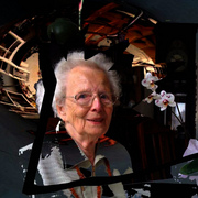 3731236579_cb1e5ac856_b_card