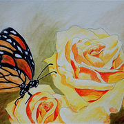 Butterfly_affect_card