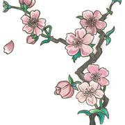 Scan0001_card