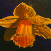 Img_5652_copy_copy_card
