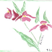 Watercolor_azalea_crop_card