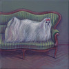 Hund_sofa_thumb