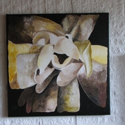 Browns_-_flower_card