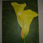 Twins_1_card