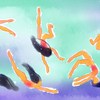Swimmers_thumb