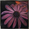Laurens_flower_thumb