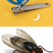 Fingernail_magnifier_card