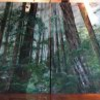 Forest_thumb