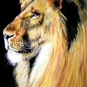 Leo_card