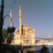 20062009_018__card