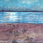 Turtles_water_color_card