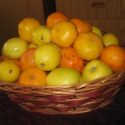Img_1107_card