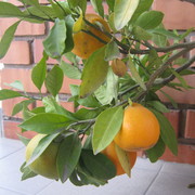 Img_1111_card