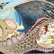 The_devil_is_in_the_detail_web_card