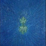 Naturaleza_20_26__card