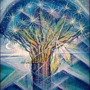 Naturaleza_20_40__card