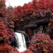 45looking_glass_falls_card