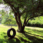 48tire_swing_card