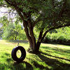 48tire_swing_thumb