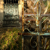 The-window_thumb
