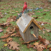 Img_1508_card
