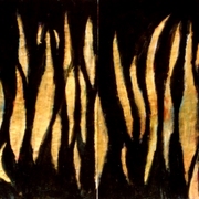Curlew_dance_card