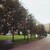 Dibuji962_tiny_square