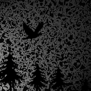 In-the-woods-02_card