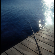 Dsc_0203__2__card