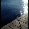Dsc_0203__2__thumb