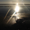 Dsc00174_thumb