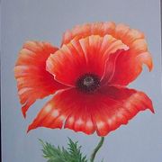 Poppy_card