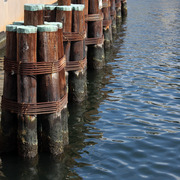 Img_8901_card