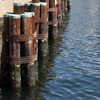 Img_8901_thumb