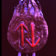Inner_2_card