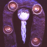 Confluence_card