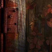 Behind_the_garden_wall_card