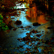 Dsc00272_card