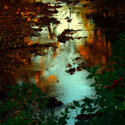 Dsc00279picnik_i_card