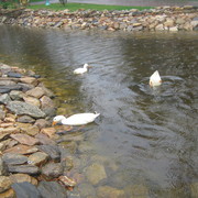 Img_1169_card