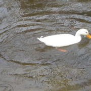 Img_1170_card
