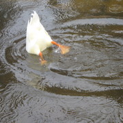 Img_1171_card