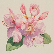 Flower_600_card