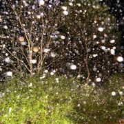 Rain_16_card